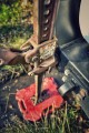 _DSC6065-01.jpeg